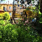 Bed & Breakfast Portico Rosso