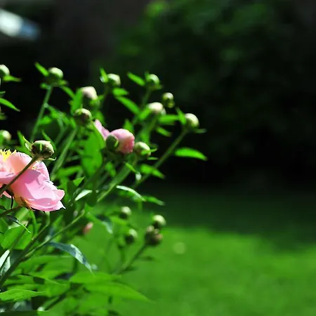 Bed & Breakfast Portico Rosso Vicenza