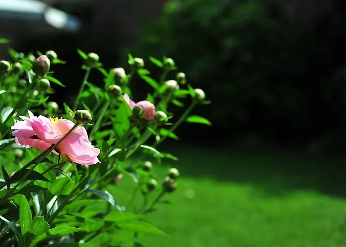 Bed & Breakfast Portico Rosso Vicenza