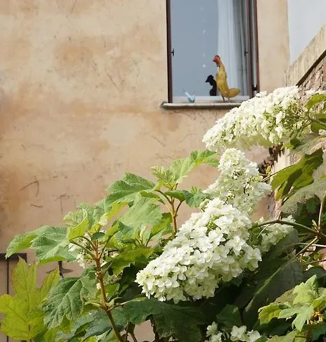 Portico Rosso Couette-café Vicence