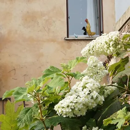 Portico Rosso ベッド・アンド・ブレックファスト ヴィチェンツァ